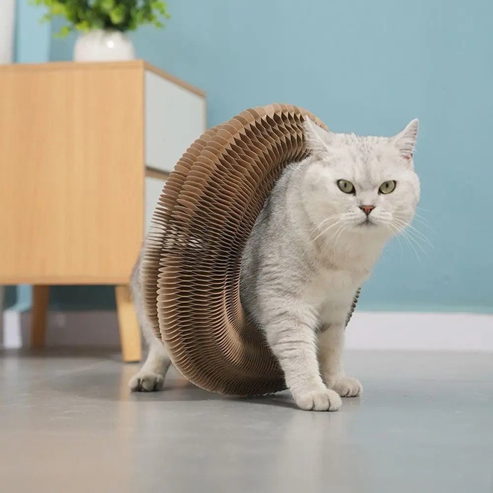 CatMaze™ - Katters Favorit: Magisk Klös- och Bollbana