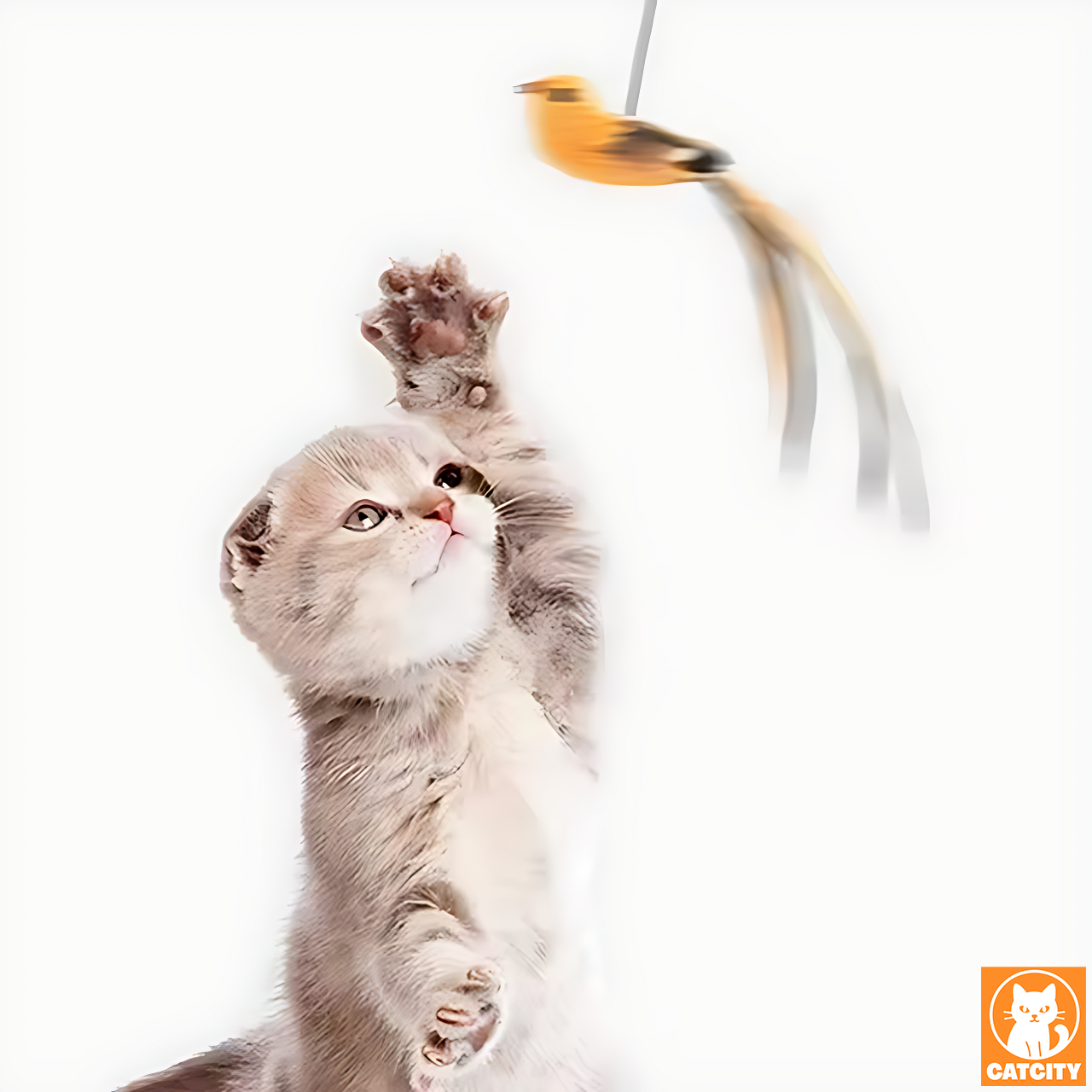 Svingfjädern™ – Lek och rörelse för din katt