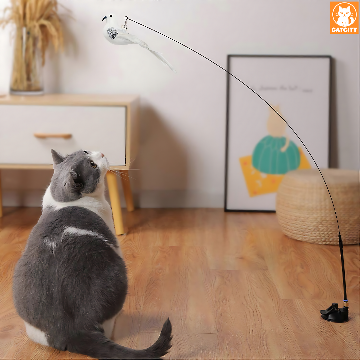 Svingfjädern™ – Lek och rörelse för din katt