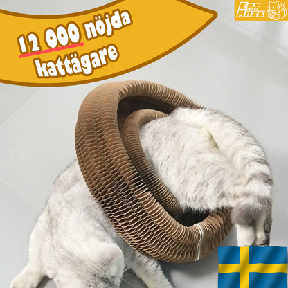 CatMaze™ - Katters Favorit: Magisk Klös- och Bollbana